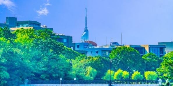 地域画像