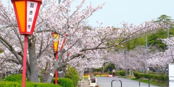 地域画像
