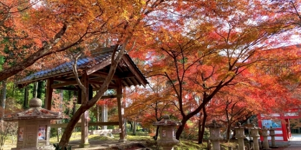 地域画像