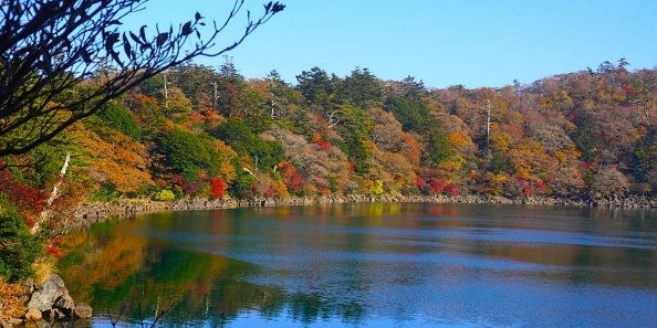 地域画像