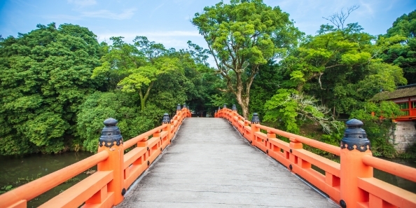 地域画像