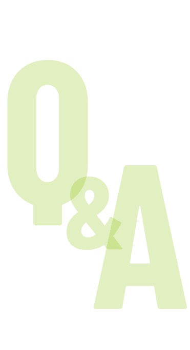 Q&A